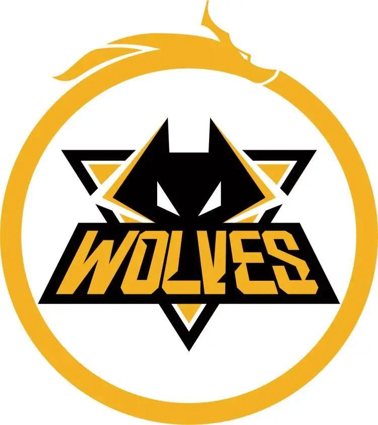 CSGO战队世界排名更新，CN战队Wings Up挤进前30