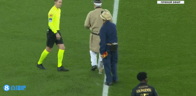 紧强侧夹